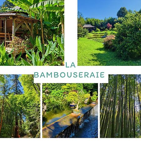 Gite Proche De La Bambouseraie Boisset-et-Gaujac Exterior foto